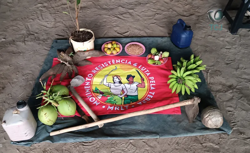 Movimento MRLT denuncia grilagem da Suzano e reivindica reforma agrária no Espírito Santo