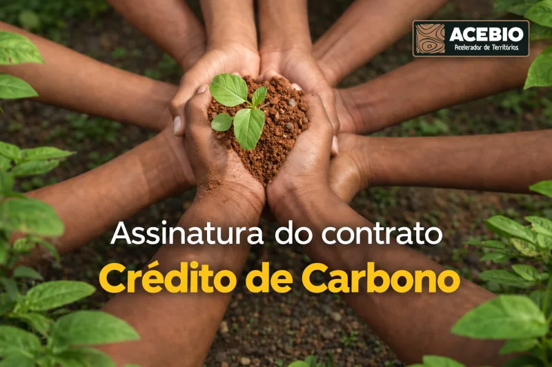 Programa de crédito de carbono inicia nova etapa com assinatura de contratos em Conceição da Barra