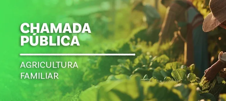 Governo do ES lança edital para compra de alimentos da agricultura familiar para escolas