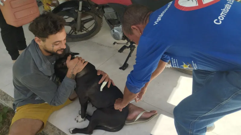 Conceição da Barra vacina mais de 650 cães e gatos contra a raiva