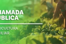 Governo do ES lança edital para compra de alimentos da agricultura familiar para escolas