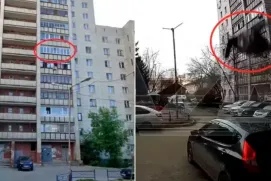 Idosa cai do sexto andar de prédio ao limpar janela e sobrevive; vídeo