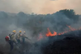 STF determina desapropriação de terras com incêndios criminosos e desmatamento ilegal